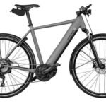 Riese & Müller Roadster 4 Mixte Touring