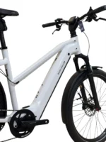 Riese & Müller Charger4 Mixte GT touring – Image 13