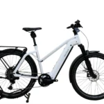 Riese & Müller Charger4 Mixte GT touring