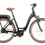 Riese & Müller Swing vario