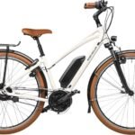Riese & Müller Cruiser Mixte Vario