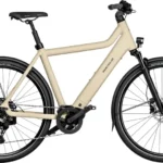 Riese & Müller Culture Touring