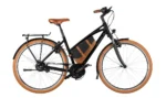 Riese & Müller Cruiser Mixte Vario – Image 10