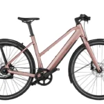 Riese & Müller UBN Seven